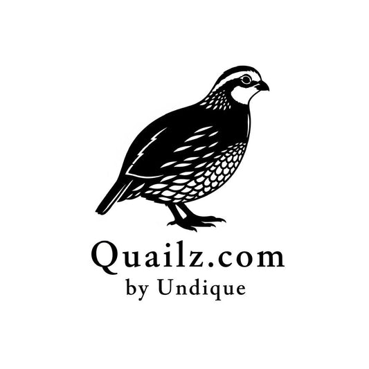 Undique LLC Launches Quailz.com – A New Home for Hatching Excellence