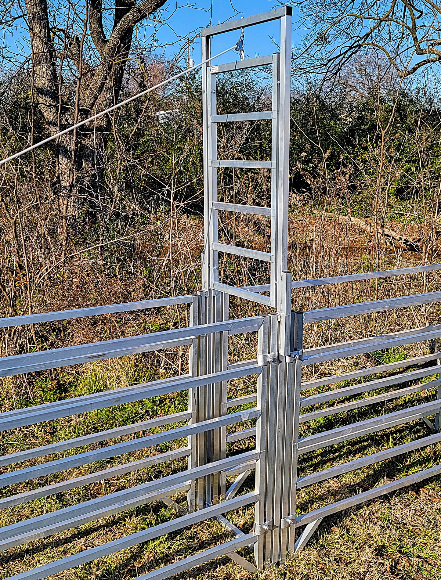 Premium Aluminum 80-Inch-Tall Sheep & Goat Guillotine Stop Gate for Sorting Alley & Pen Systems - Homesteading Supplies for Quail Enthusiasts