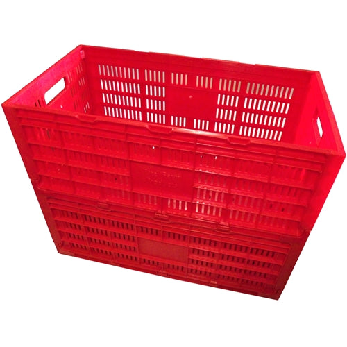 Premium Rite Farm Products Chicken Egg Transport Crate - Bird Keeping Supplies for Quail Enthusiasts