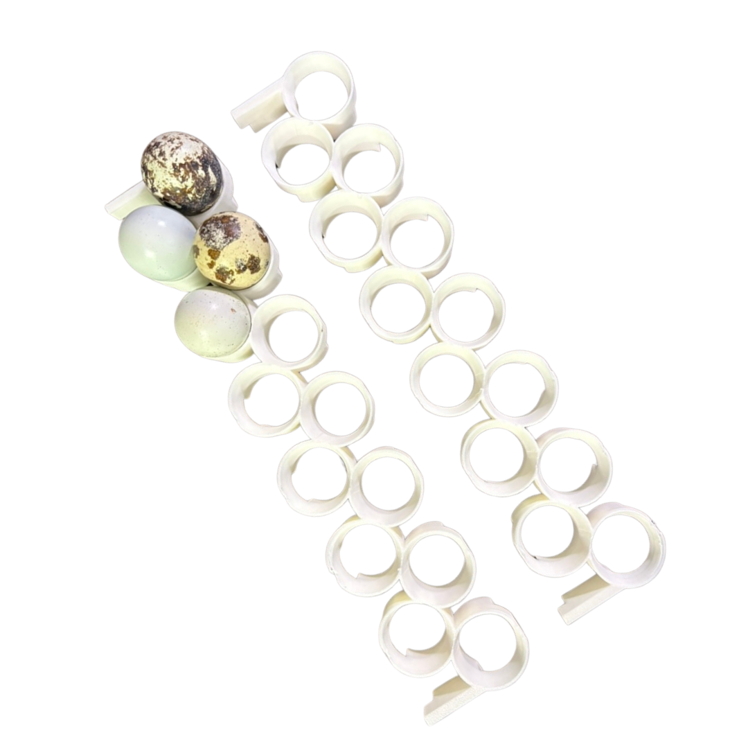 Premium Jumbo Quail Egg Rails for Cimuka®/Hatching Time® Incubators (CT-Series) - Bird Keeping Supplies for Quail Enthusiasts