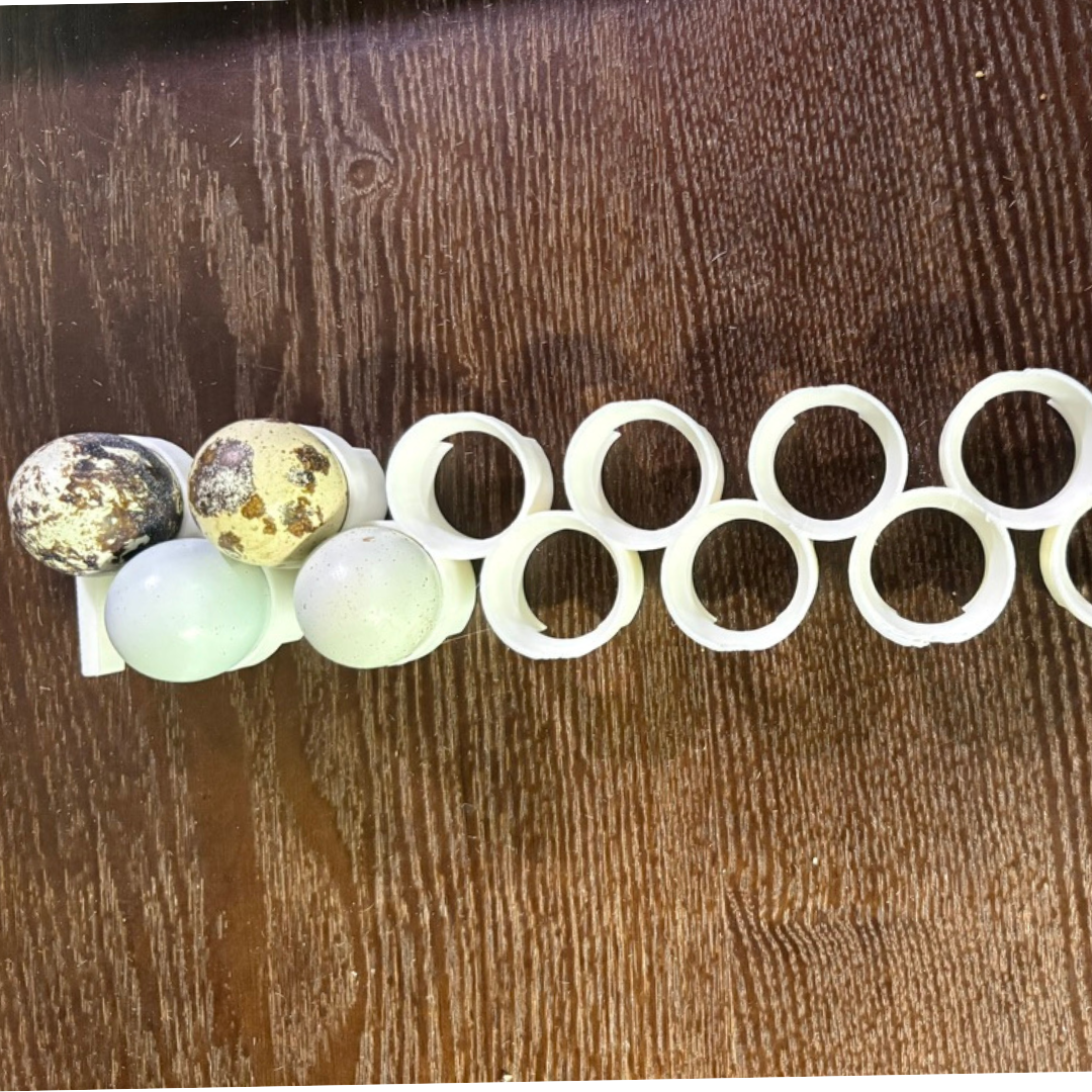 Premium Jumbo Quail Egg Rails for Cimuka®/Hatching Time® Incubators (CT-Series) - Bird Keeping Supplies for Quail Enthusiasts