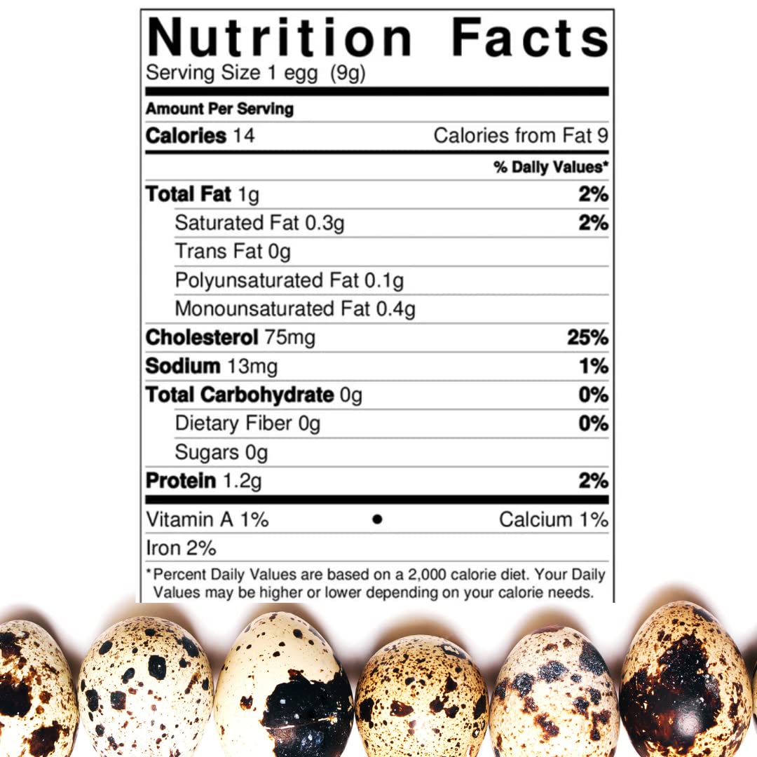 Fertile Hatching Mixed Jumbo Pharaoh Coturnix,Jumbo Italian, White,Brown Quail Hatching Eggs- Coturnix Quail Eggs for Sustainable Farming Hens Choice