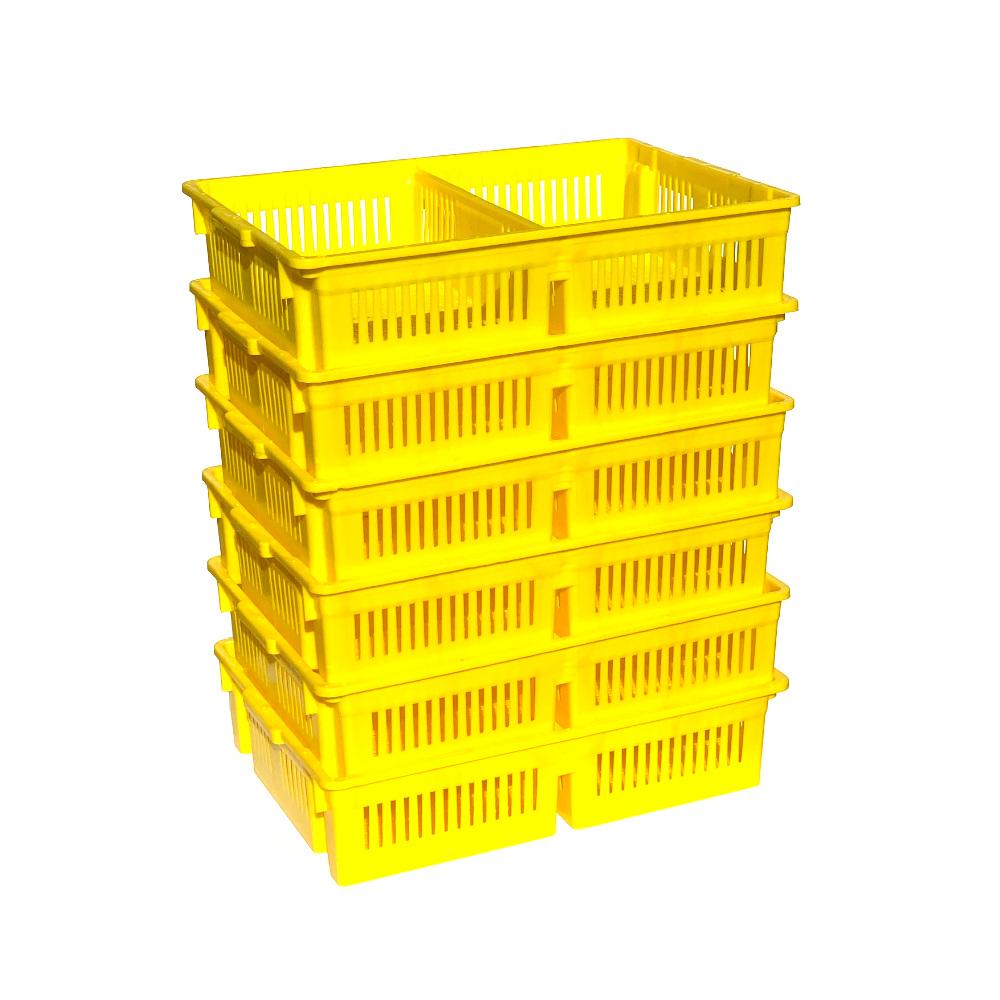 Large Chick Basket - 2 Section (2x50 Chicks)