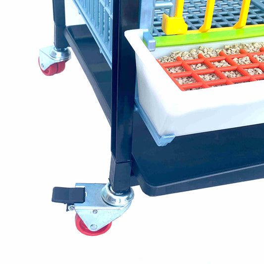 Grow Out Pen - 1 Layer H:15"