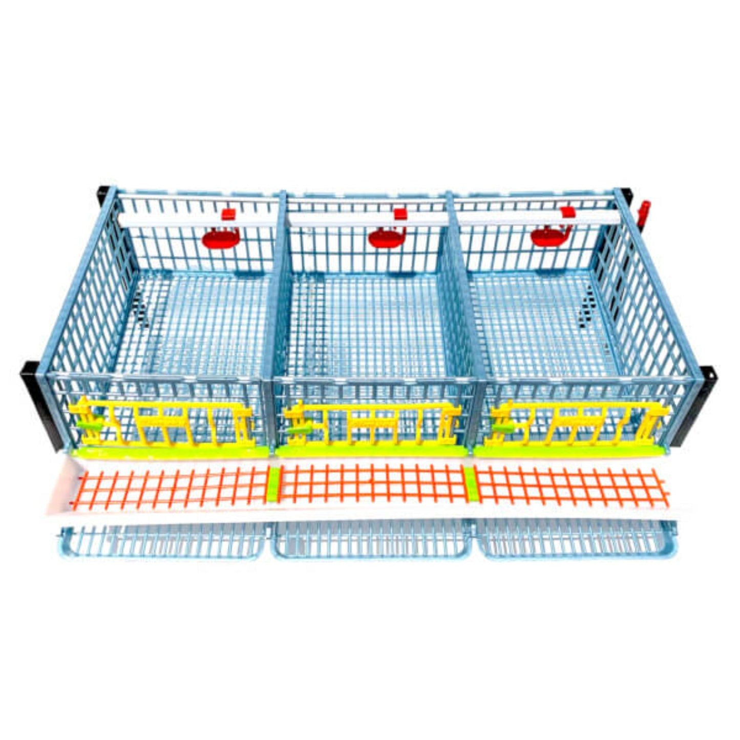Quail Cage - Layer Addition