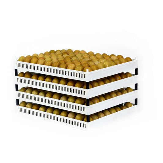 Flexy80 Egg Setter Tray with separators