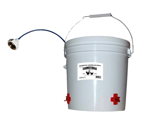 Automatic Chicken Waterer (2 Gallon)