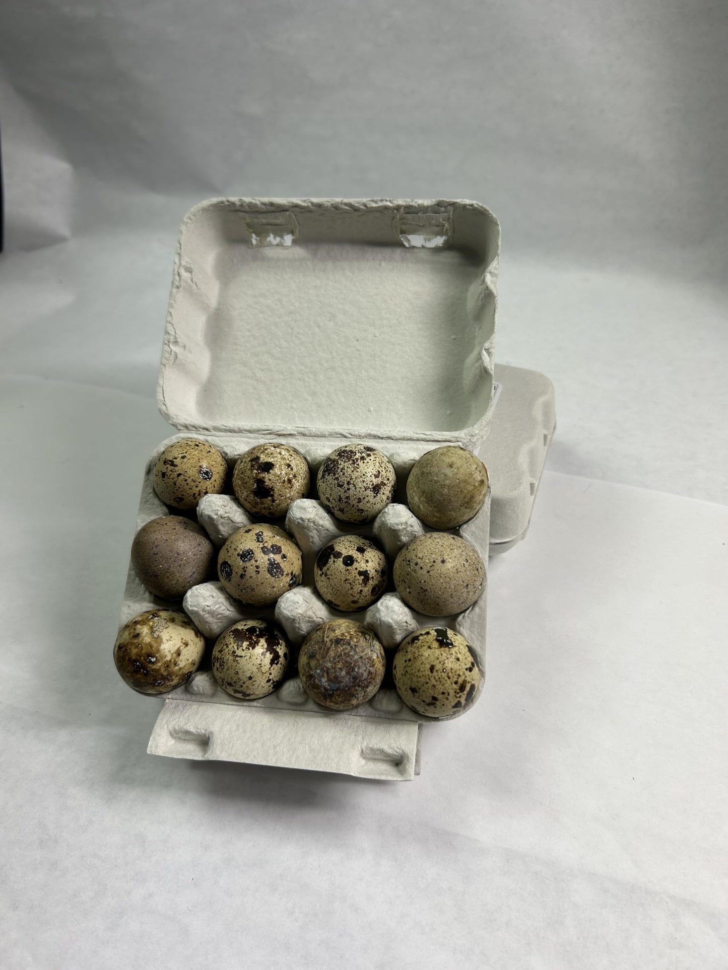 Premium Fresh Quail Eggs Laid in the US - Fresh Quail Eggs for Quail Enthusiasts