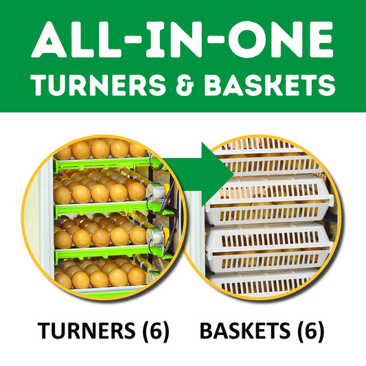CT180 SH - Egg Incubator - Setter & Hatcher