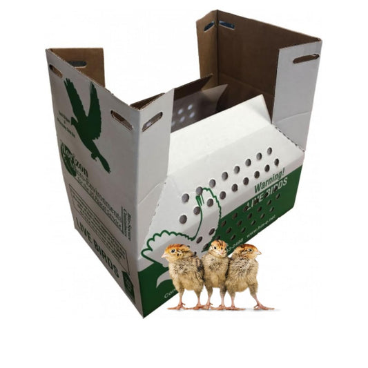 Bryant's Roost Bird Shipping Box (10 pcs) - Quail Nest, Live Bird Carrier, Secure Avian Transportation for Small Birds