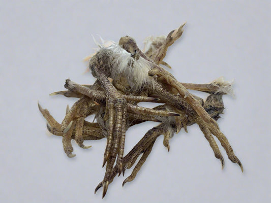 Pile of dried quail legs on a white background