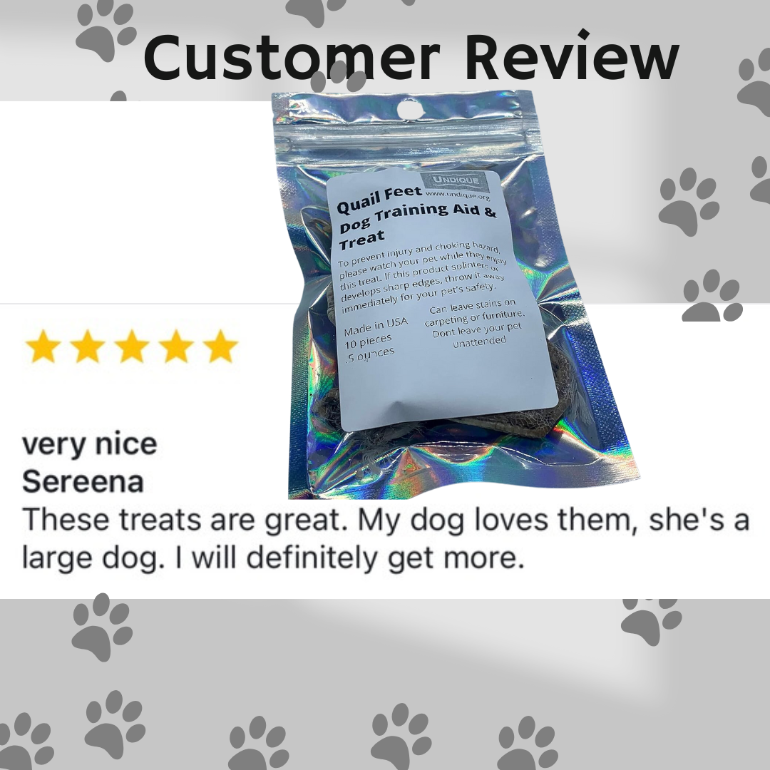 Quail feet Dog Training aid & Treat
