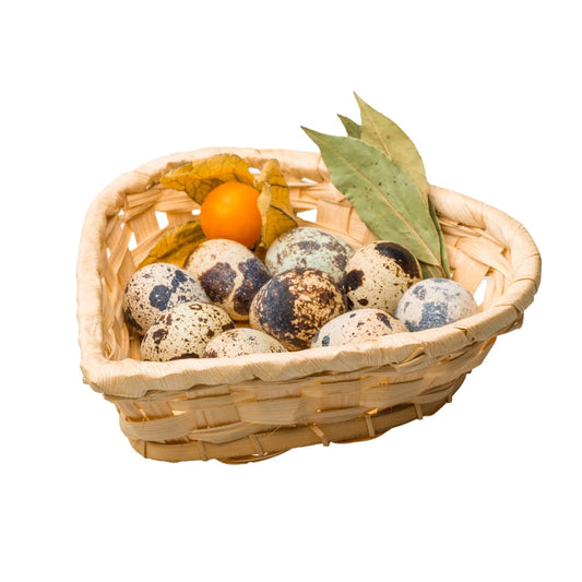 Quail Eggs in the Kitchen – Nutrition, Taste, and Tools