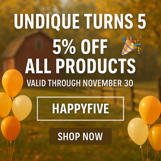 5 Years of Undique – From Hatching Dreams to Homestead Heroes