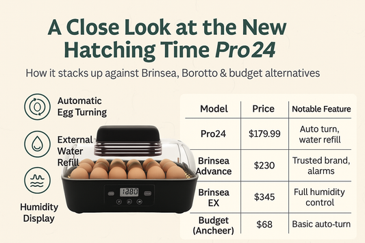 A Close Look at the New Hatching Time Tabletop Incubator Pro24