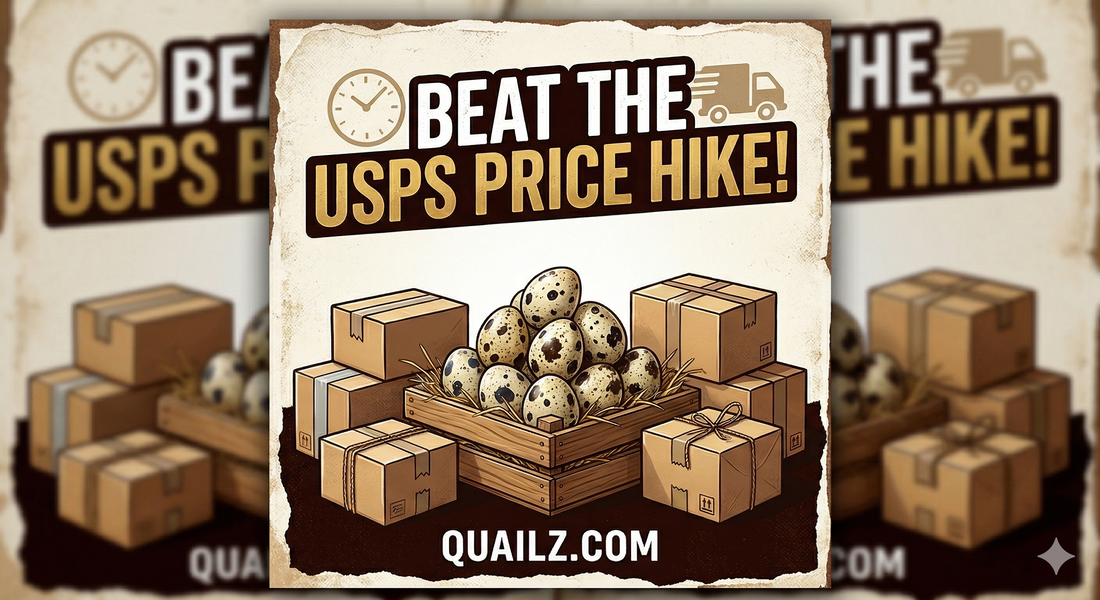 Beat the USPS Price Hike!