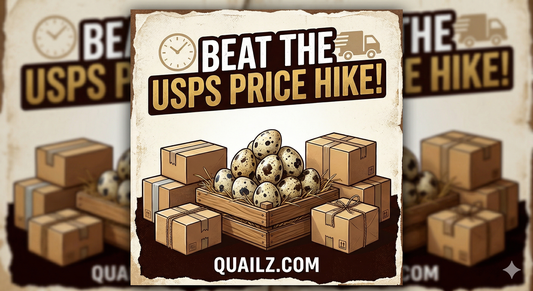 Beat the USPS Price Hike!