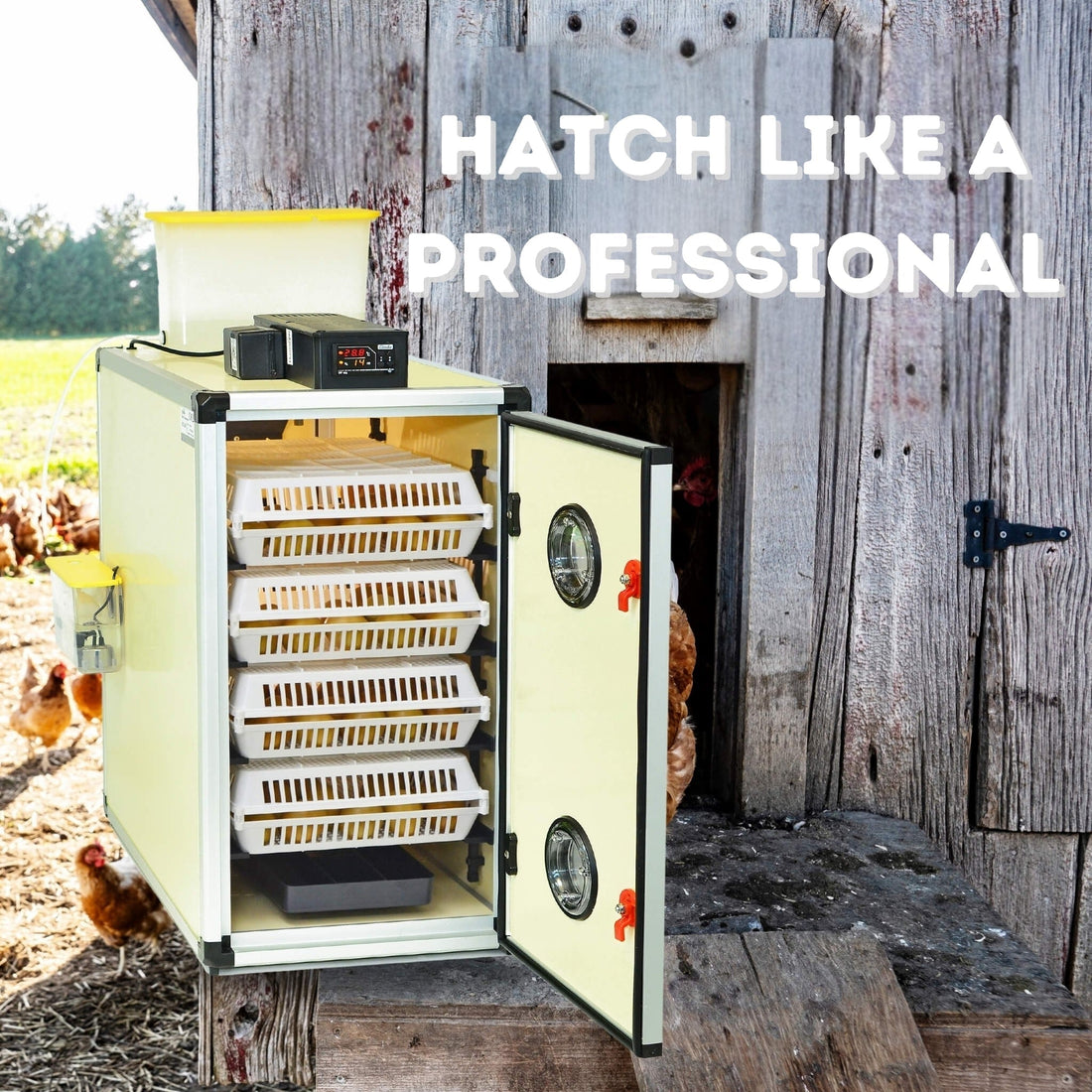 Masterclass in Incubation – Humidity, Turning, and Equipment