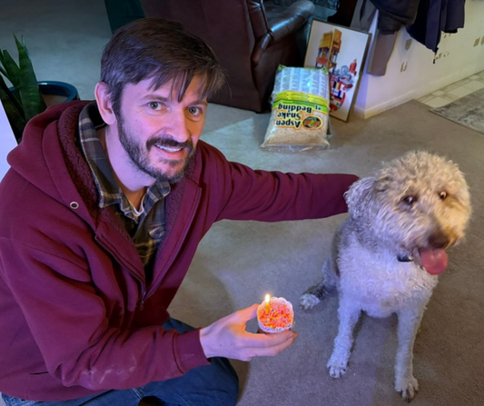 Four Years of Wags & Wisdom