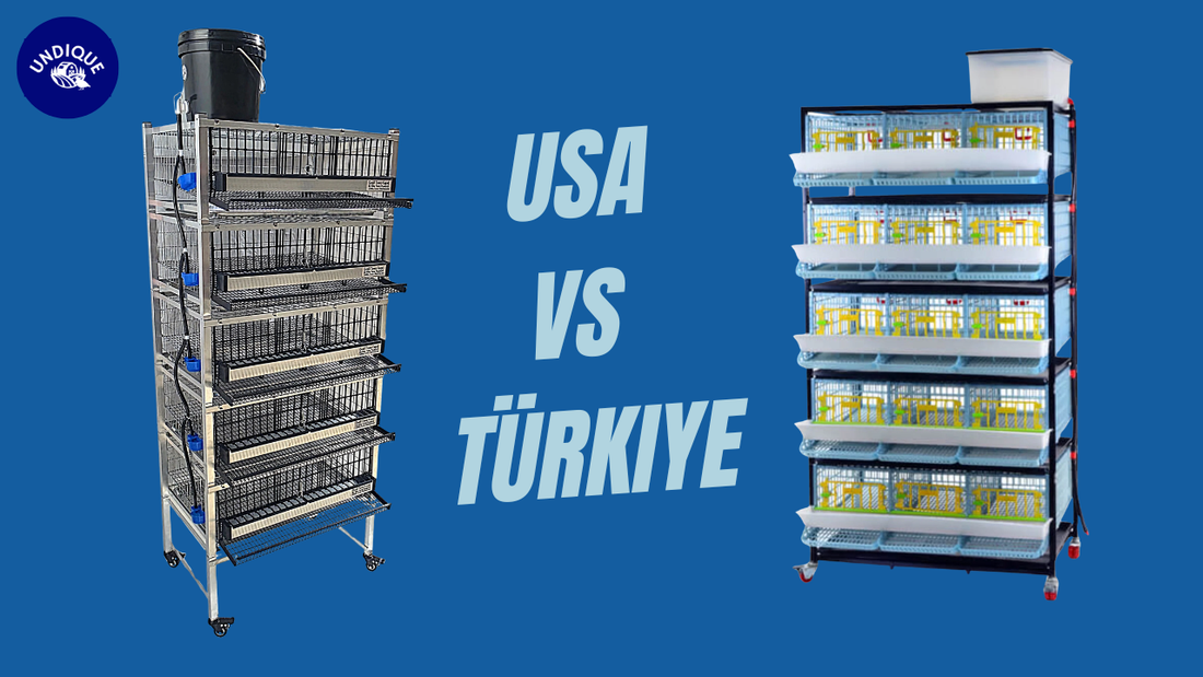 My First Hands-On Comparison of the Rite Farm Quail Town vs Cimuka 5-Layer