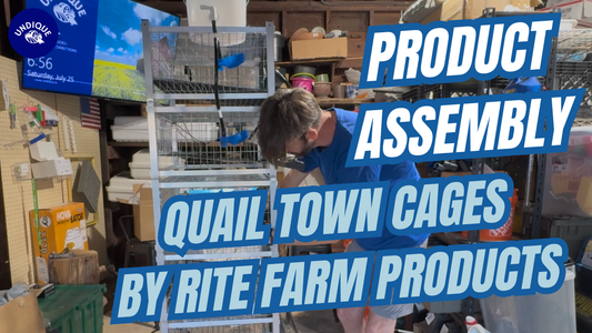 Assembling the 5-Tier Quail Town Cage Tower: Hands-On Test & Setup