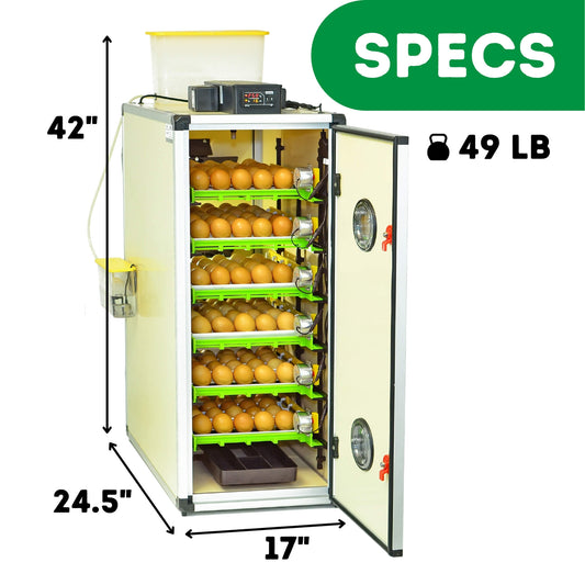 Testing the CT180 Hatching Time Incubator for Homestead Success