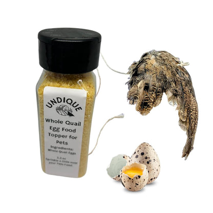 Wing on a String & Whole Egg Food Topper Bundle for Cats – Enrich Your Cat's Playtime and Mealtime!