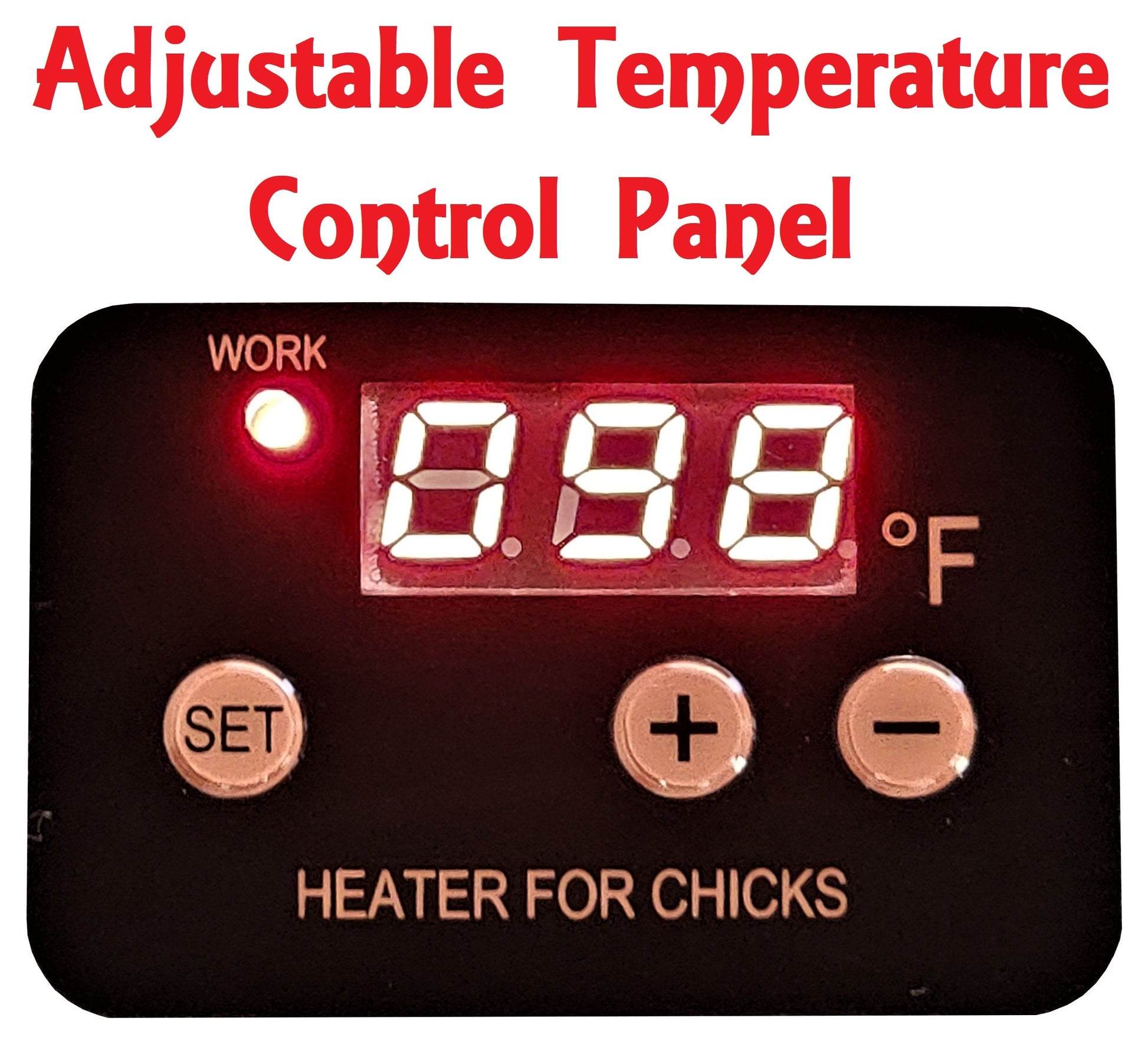 Premium 16"x24" Chick Brooder Heating Plate 66-Watts Digital Heat Temperature Adjustable - Bird Keeping Supplies for Quail Enthusiasts