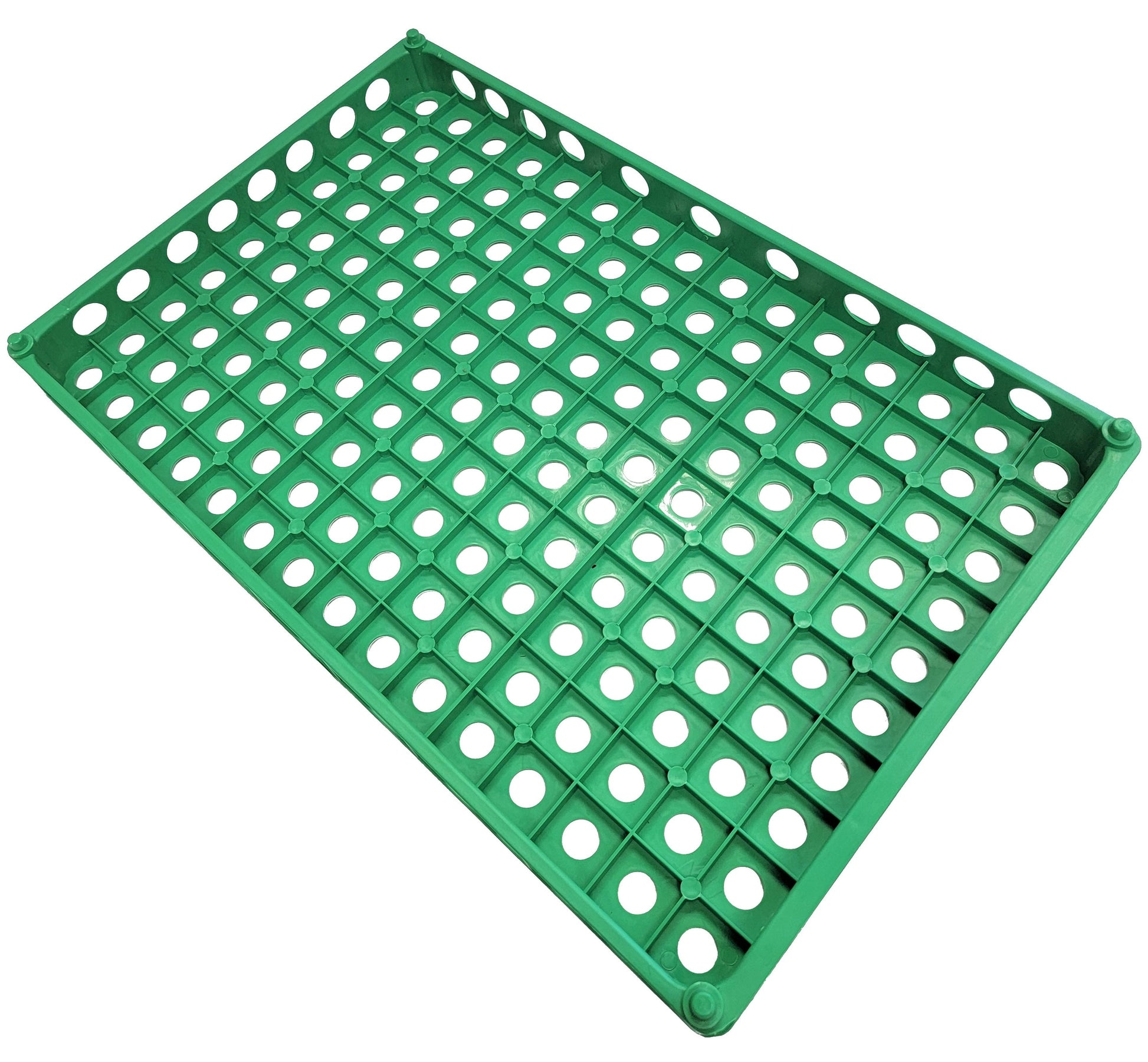 Premium Rite Farm Products Stacking 150 Quail Egg Capacity Poly Trays - Bird Keeping Supplies for Quail Enthusiasts