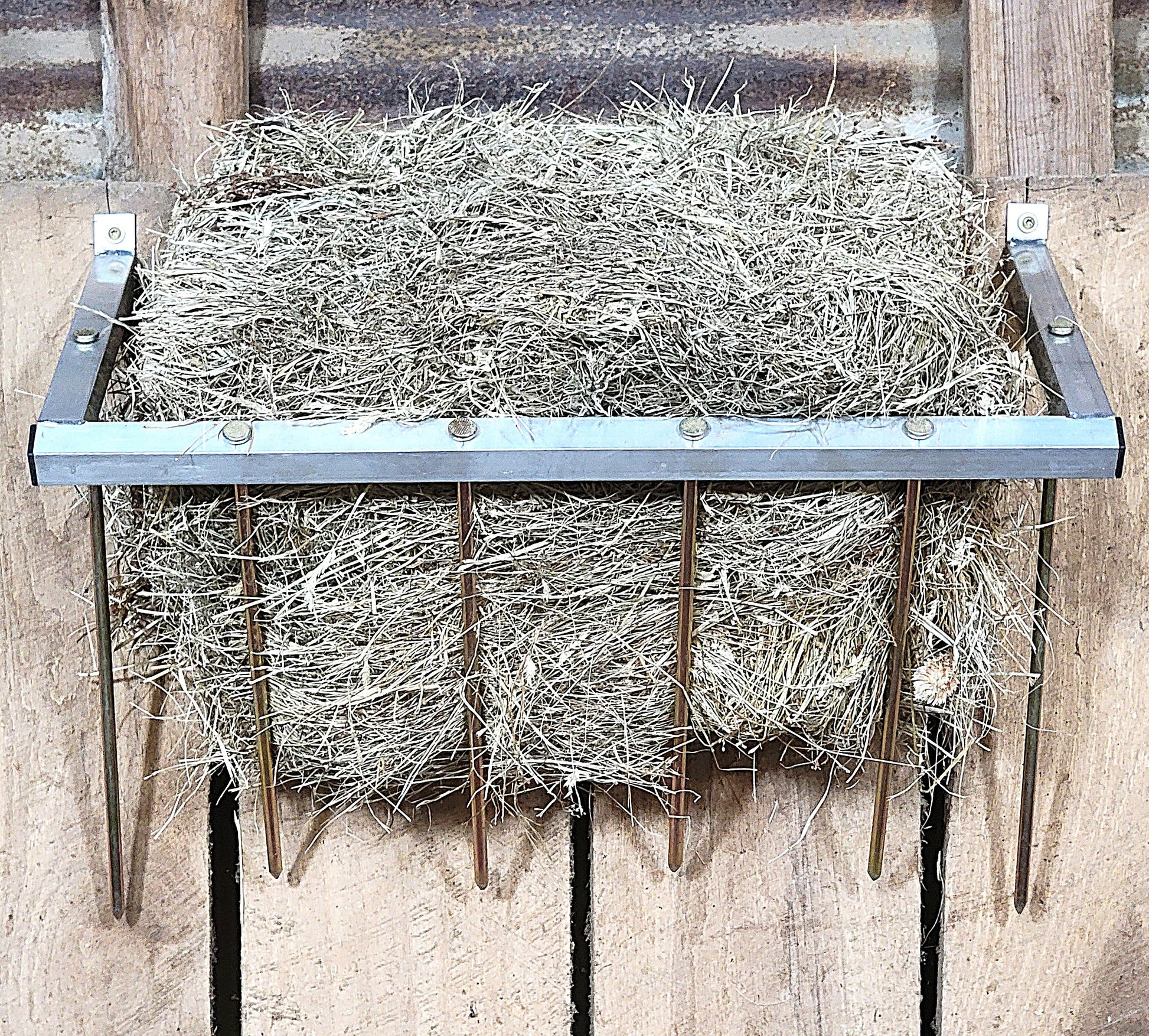 Premium 24 Inch Wall Mounted Sheep & Goat Two Flake Hay Feeder USA Made Aluminum - Homesteading Supplies for Quail Enthusiasts