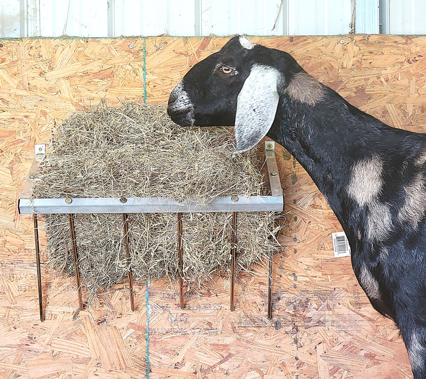 Premium 24 Inch Wall Mounted Sheep & Goat Two Flake Hay Feeder USA Made Aluminum - Homesteading Supplies for Quail Enthusiasts