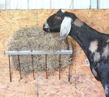Premium 24 Inch Wall Mounted Sheep & Goat Two Flake Hay Feeder USA Made Aluminum - Homesteading Supplies for Quail Enthusiasts