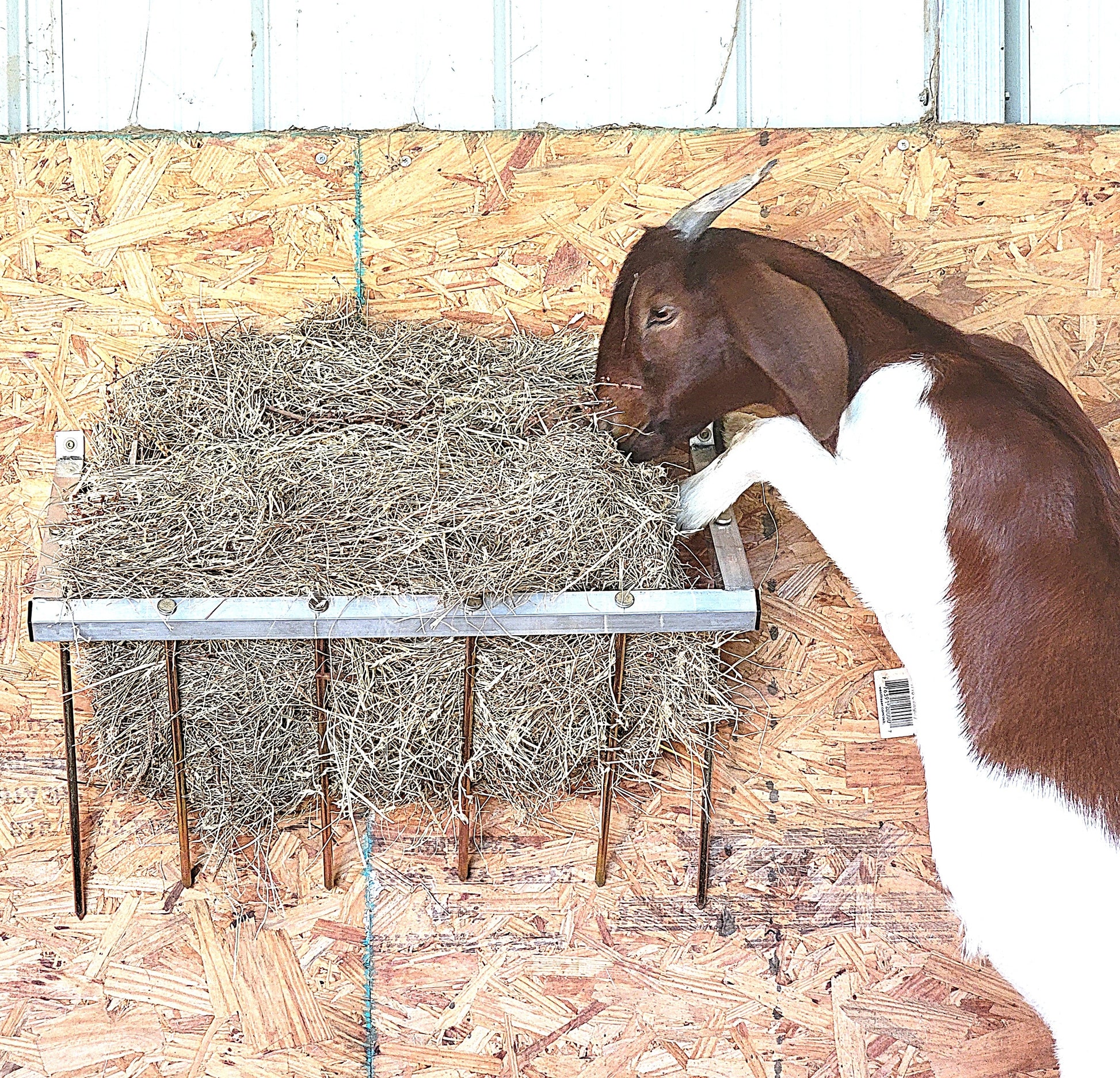 Premium 24 Inch Wall Mounted Sheep & Goat Two Flake Hay Feeder USA Made Aluminum - Homesteading Supplies for Quail Enthusiasts