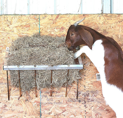 Premium 24 Inch Wall Mounted Sheep & Goat Two Flake Hay Feeder USA Made Aluminum - Homesteading Supplies for Quail Enthusiasts