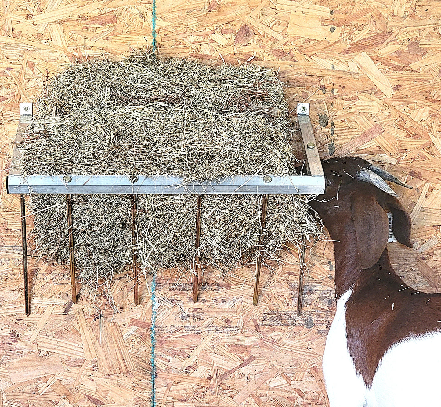Premium 24 Inch Wall Mounted Sheep & Goat Two Flake Hay Feeder USA Made Aluminum - Homesteading Supplies for Quail Enthusiasts