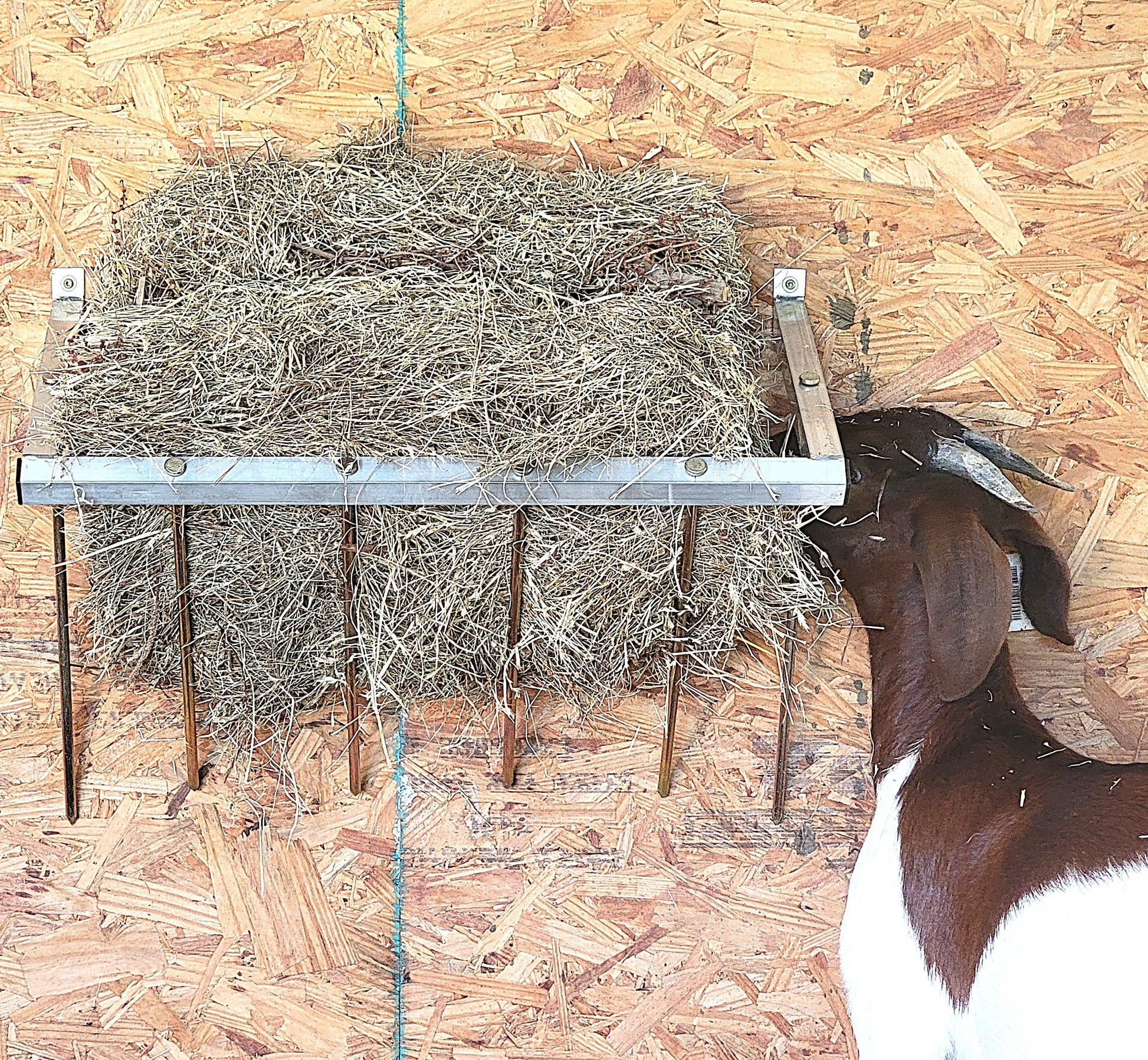 Premium 24 Inch Wall Mounted Sheep & Goat Two Flake Hay Feeder USA Made Aluminum - Homesteading Supplies for Quail Enthusiasts
