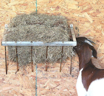 Premium 24 Inch Wall Mounted Sheep & Goat Two Flake Hay Feeder USA Made Aluminum - Homesteading Supplies for Quail Enthusiasts
