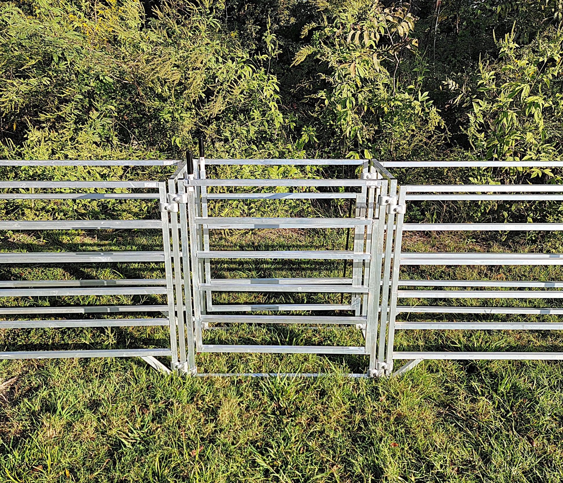 Premium Aluminum 40-Inch-Tall Sheep & Goat 3 Way Sorter gate for Sorting Alley & Pen Systems - Homesteading Supplies for Quail Enthusiasts