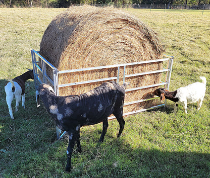 Premium Collapsible Sheep & Goat Aluminum Round Hay Bale Feeder for 4X4, 4X5, & 4X6 Bales Llama Alpaca - Homesteading Supplies for Quail Enthusiasts