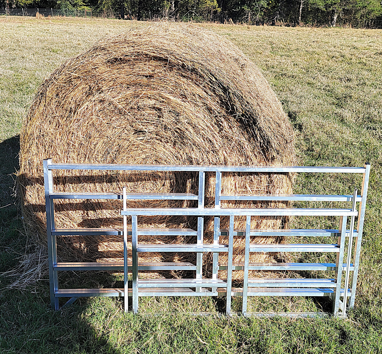 Premium Collapsible Sheep & Goat Aluminum Round Hay Bale Feeder for 4X4, 4X5, & 4X6 Bales Llama Alpaca - Homesteading Supplies for Quail Enthusiasts