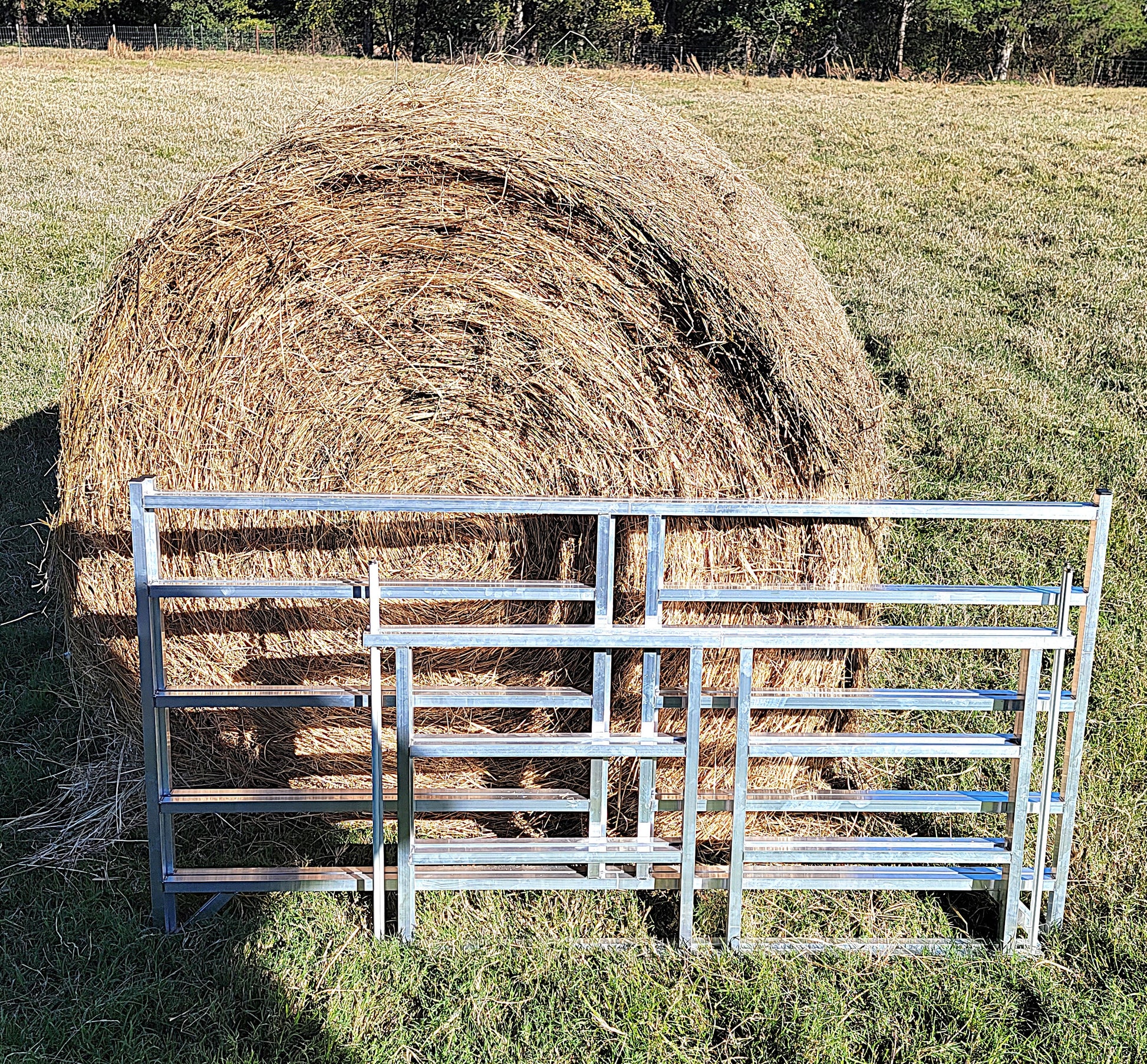 Premium Collapsible Sheep & Goat Aluminum Round Hay Bale Feeder for 4X4, 4X5, & 4X6 Bales Llama Alpaca - Homesteading Supplies for Quail Enthusiasts