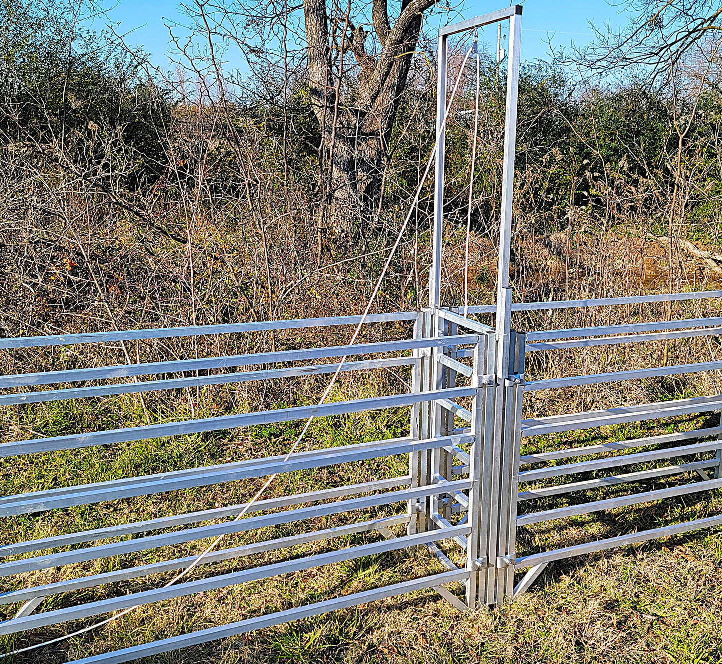 Premium Aluminum 80-Inch-Tall Sheep & Goat Guillotine Stop Gate for Sorting Alley & Pen Systems - Homesteading Supplies for Quail Enthusiasts