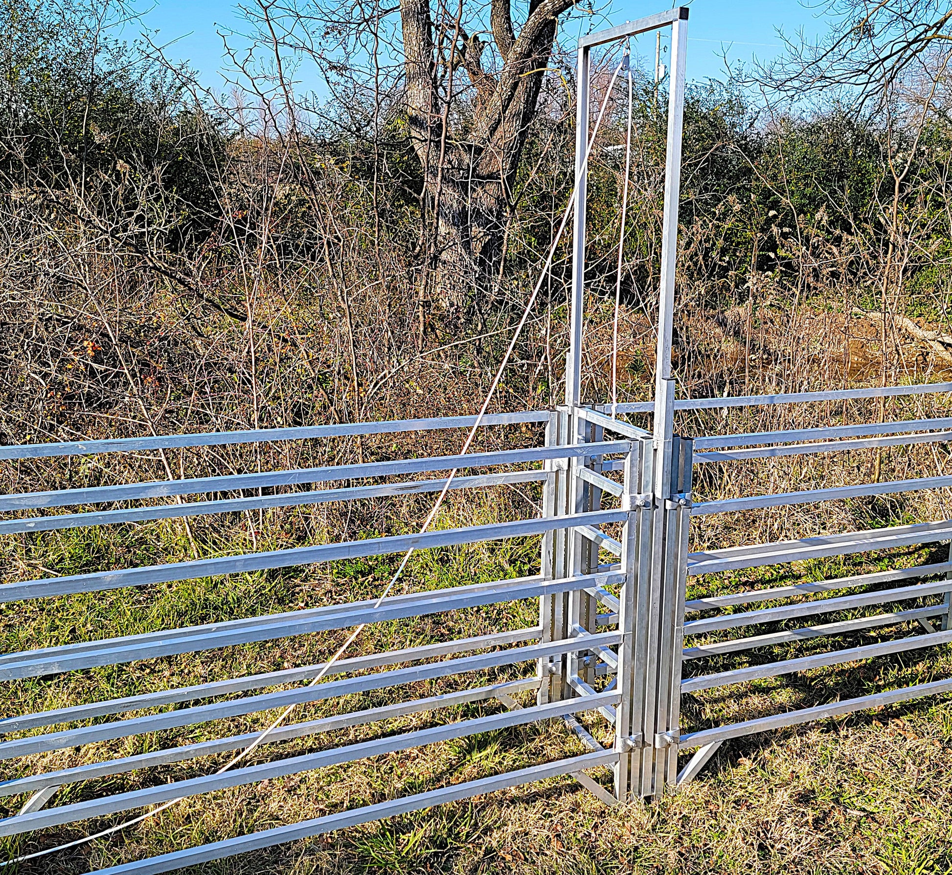 Premium Aluminum 80-Inch-Tall Sheep & Goat Guillotine Stop Gate for Sorting Alley & Pen Systems - Homesteading Supplies for Quail Enthusiasts
