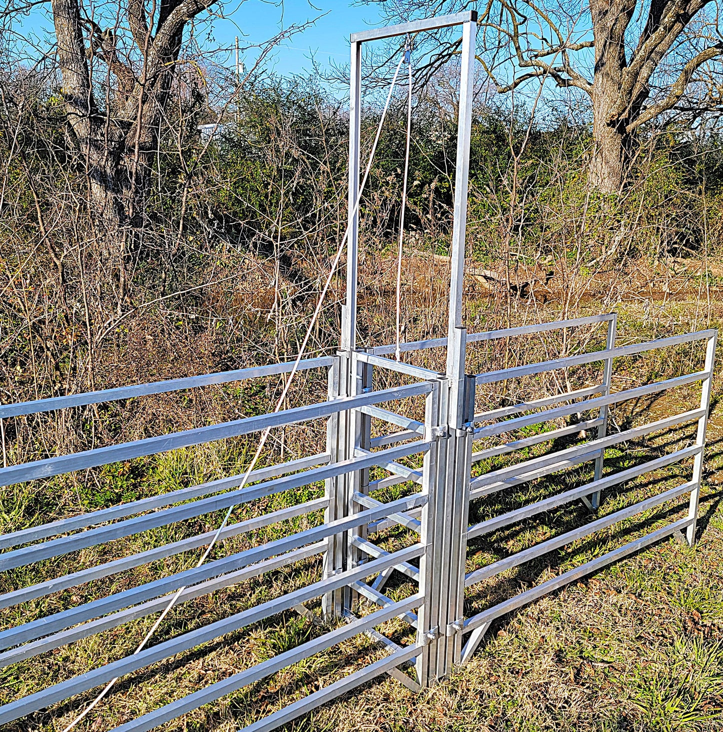 Premium Aluminum 80-Inch-Tall Sheep & Goat Guillotine Stop Gate for Sorting Alley & Pen Systems - Homesteading Supplies for Quail Enthusiasts