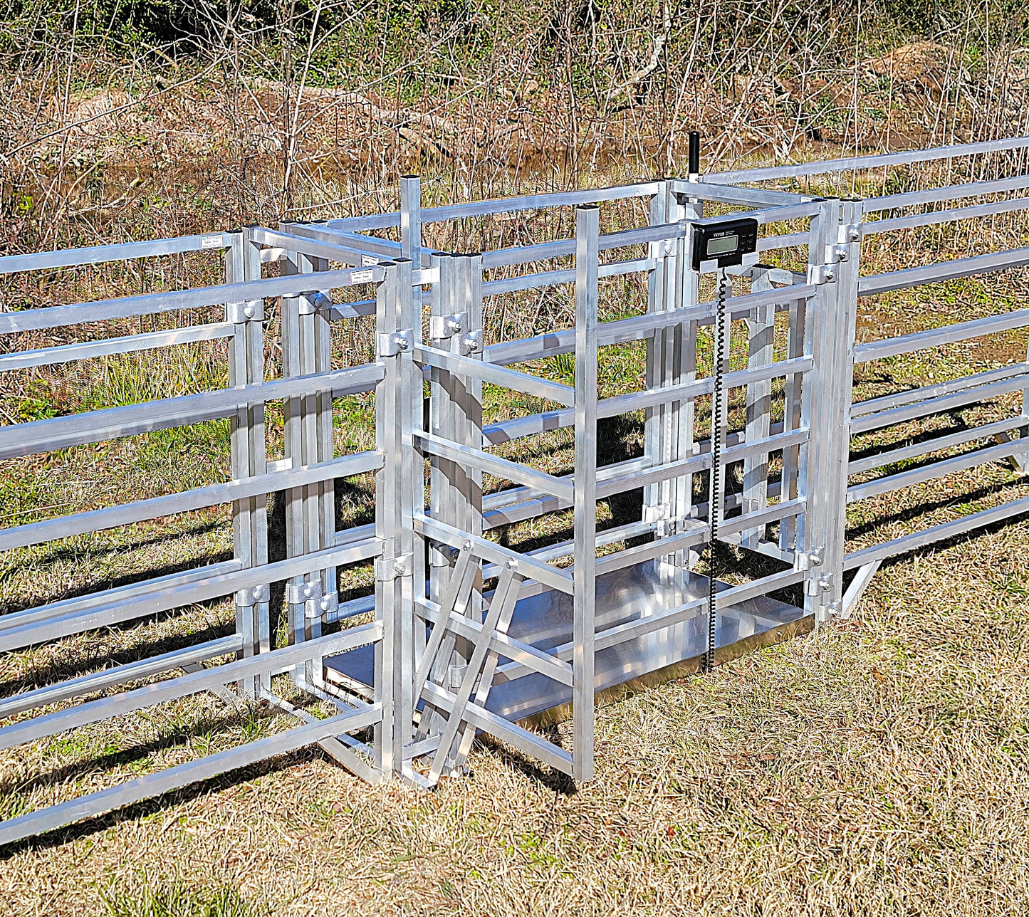 Premium Aluminum 40-Inch-Tall Sheep & Goat Digital Weight Scale for Sorting Alley & Pen Systems - Homesteading Supplies for Quail Enthusiasts
