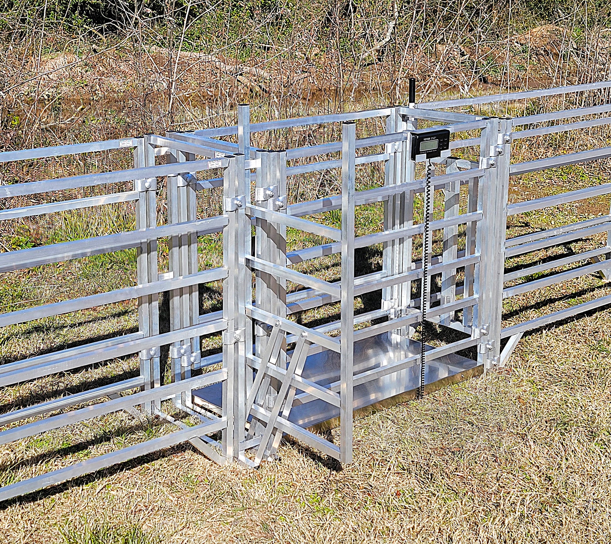 Premium Aluminum 40-Inch-Tall Sheep & Goat Digital Weight Scale for Sorting Alley & Pen Systems - Homesteading Supplies for Quail Enthusiasts