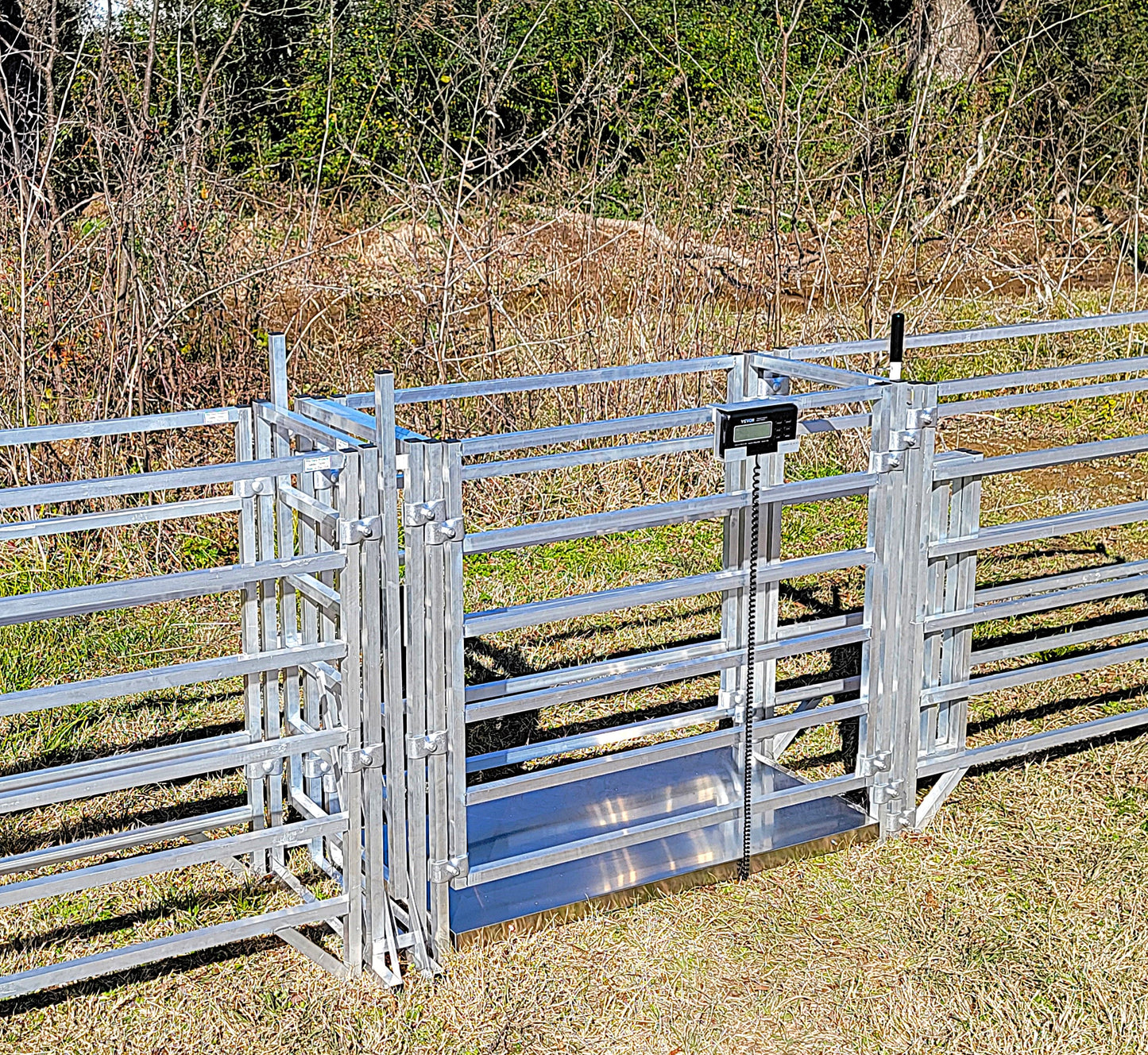 Premium Aluminum 40-Inch-Tall Sheep & Goat Digital Weight Scale for Sorting Alley & Pen Systems - Homesteading Supplies for Quail Enthusiasts