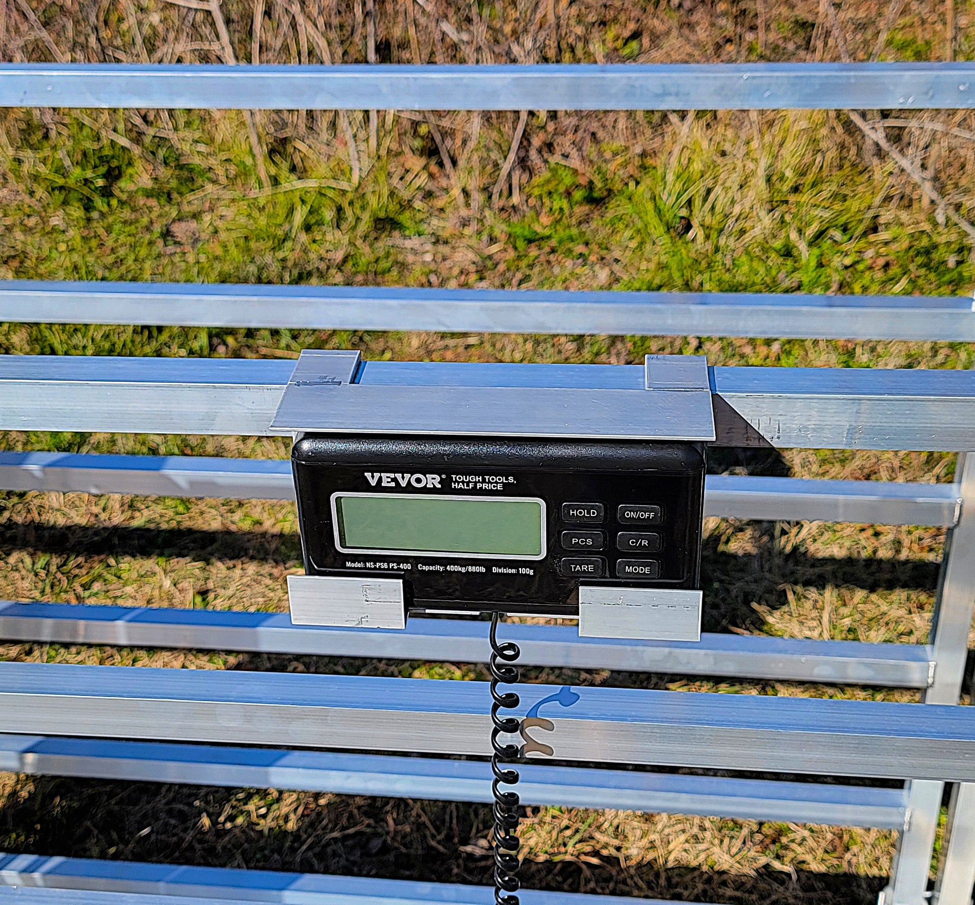 Premium Aluminum 40-Inch-Tall Sheep & Goat Digital Weight Scale for Sorting Alley & Pen Systems - Homesteading Supplies for Quail Enthusiasts