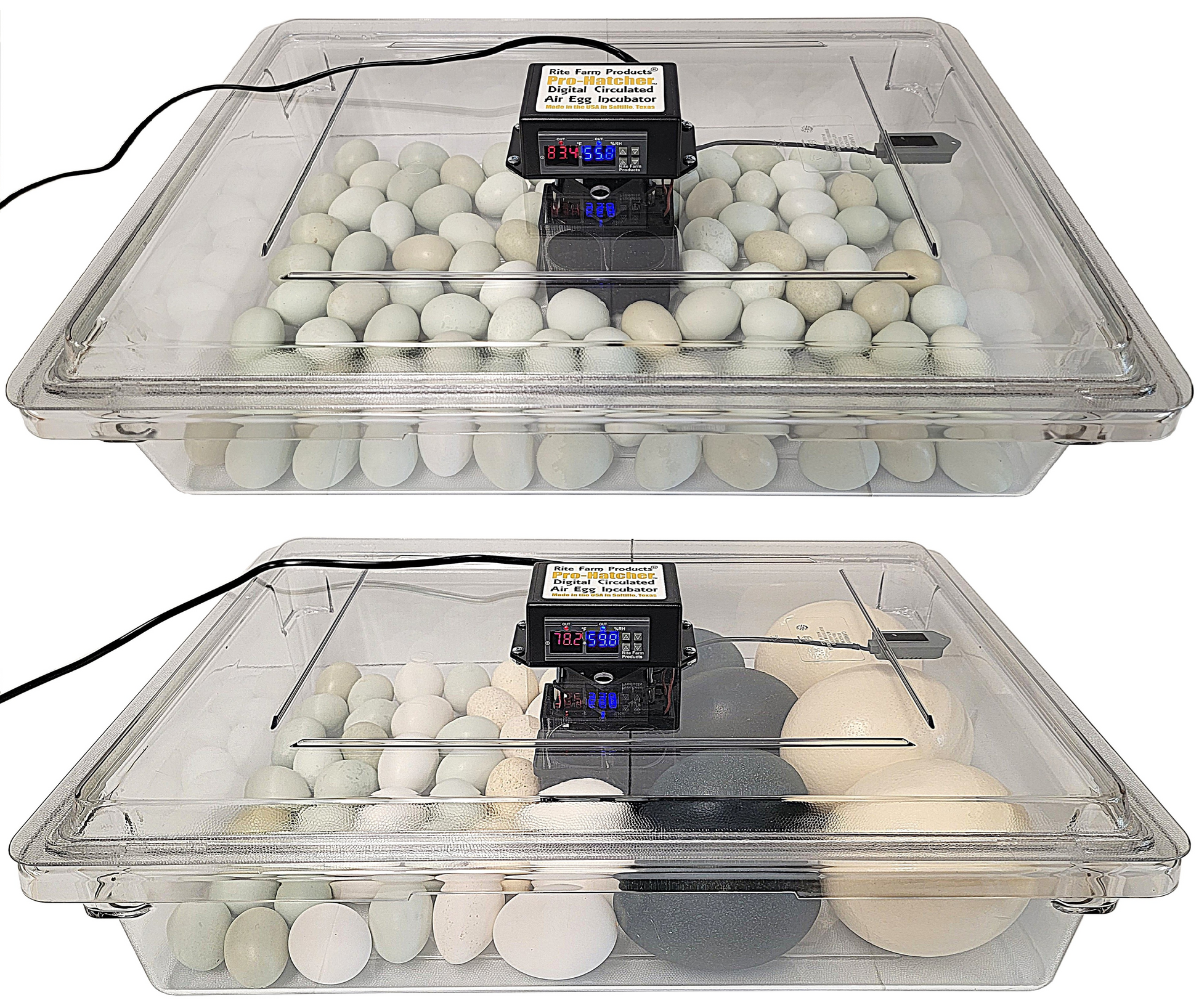 Premium Rite Farm Products PRO Hatcher Incubator for Egg Tray Transfer from Cabinet Incubators - Bird Keeping Supplies for Quail Enthusiasts