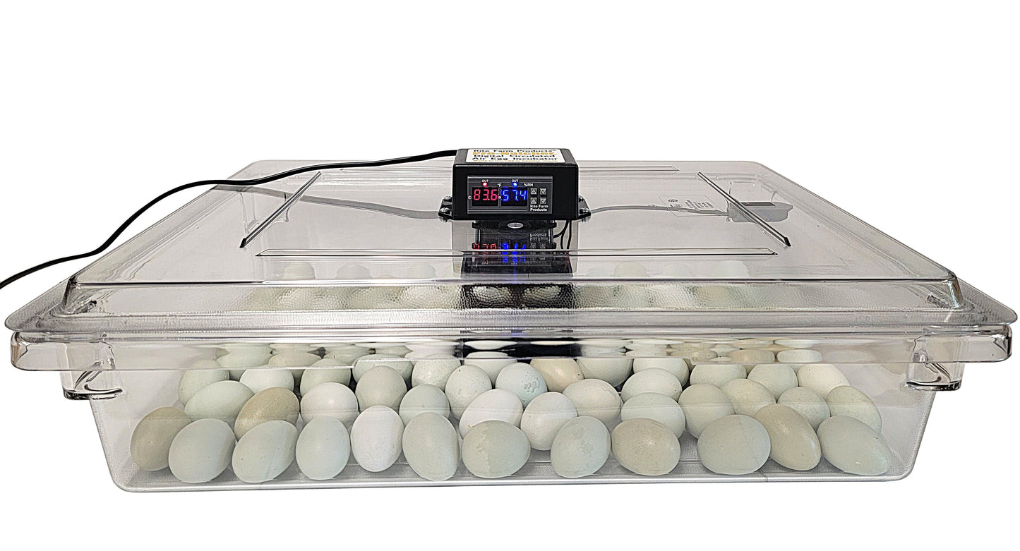Premium Rite Farm Products PRO Hatcher Incubator for Egg Tray Transfer from Cabinet Incubators - Bird Keeping Supplies for Quail Enthusiasts